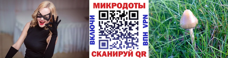 Псилоцибиновые грибы Psilocybe  Ершов 